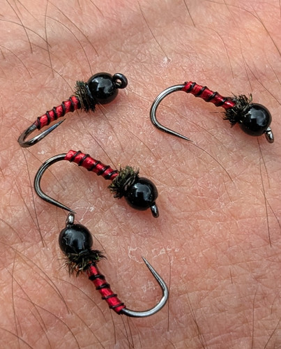 Stillwater zebra midge - x,