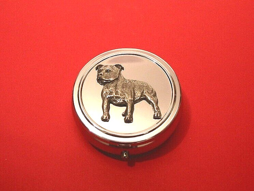 Staffordshire bull terrier - terrier, on
