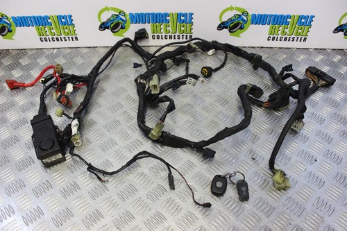 Yamaha 5vy wiring harness - wiring,