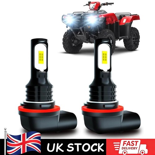 White head light bulb for - light,