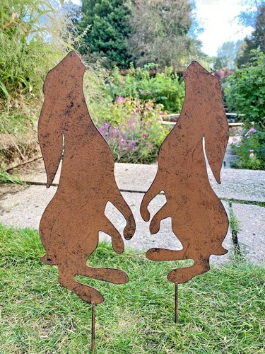Moon gazing hare sheet steel - hare,