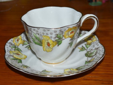 #2 Vintage Salisbury Tea Cup & Saucer Fine Bone China England "Convolvulus"