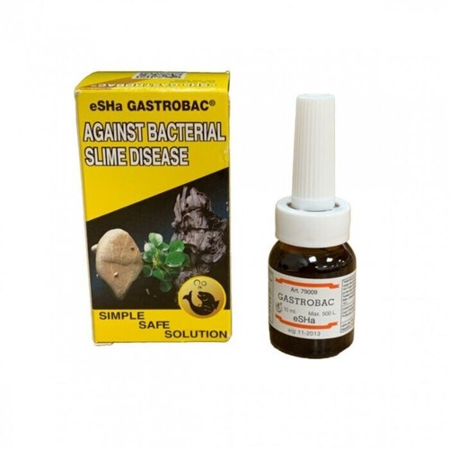 Esha gastrobac bacterial - 2,