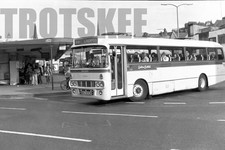 35mm Black and White Negative