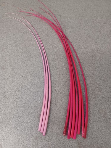 Stripped ostrich quill - , spine