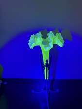 Victorian Uranium Glass