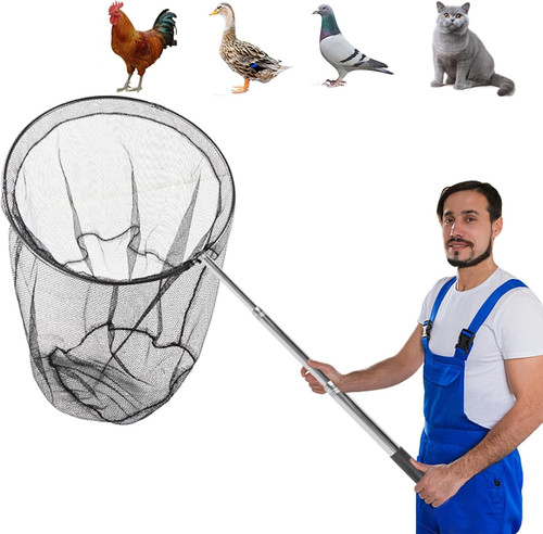 Chicken catching fishing net - chicken,