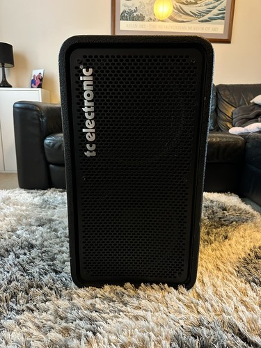 Electronic 212 bass cab - rs,