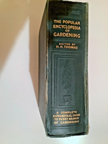 Old bound popular - old,