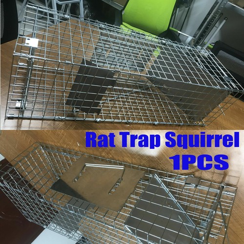 Squirrel trap heavy duty - heavy, metal