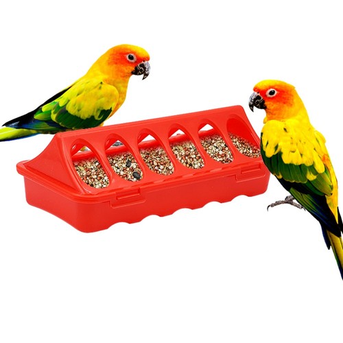 Chicken feed trough - feed, poultry