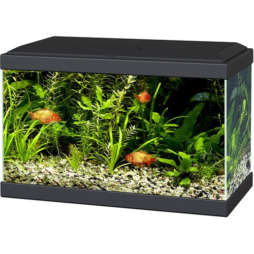 Ciano aqua aquarium led 30 - aquarium, 20