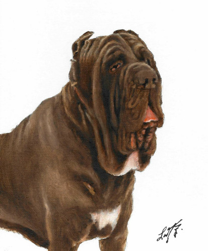 Original oil portrait - ✤,