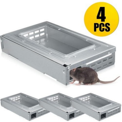 Packs multi catch mouse - 4, trap