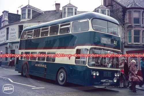 Bus photo a1 service - a1,