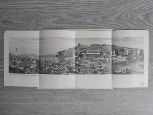 Panoramic photo whitby herring - whitby,