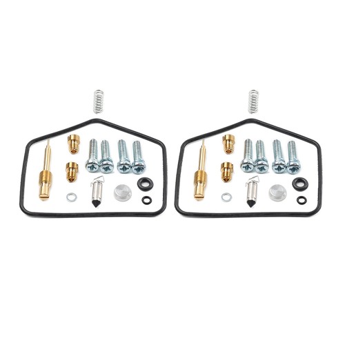 Sets carburetor repair - carburetor, kit