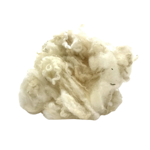 Natural white curly - white, wool