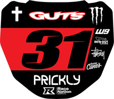 ODI DH Mountain Bike Front