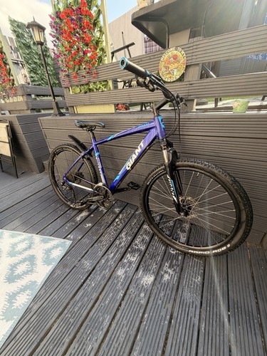 Giant mountain bike - bike, medium