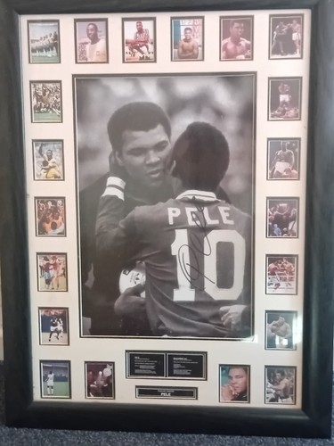 100 genuine hand - 100%, pele