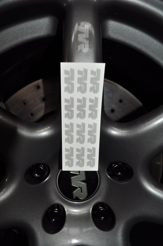 Tvr logo silver wheel - ,