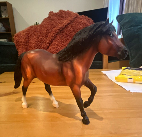 Donner red bay - donner, pony