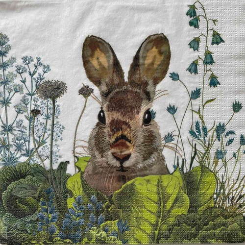 Luncheon paper napkins for - paper,