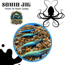 SHORE CASTING SQUID JIG
