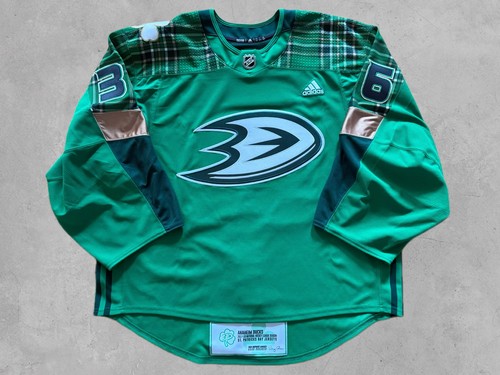 Anaheim ducks nhl goalie game - anaheim,