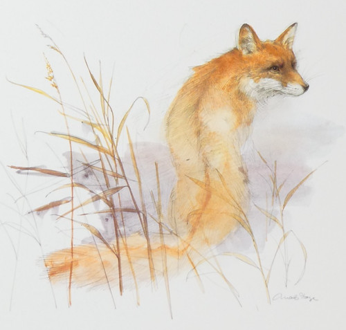 Red fox art print mads - red,