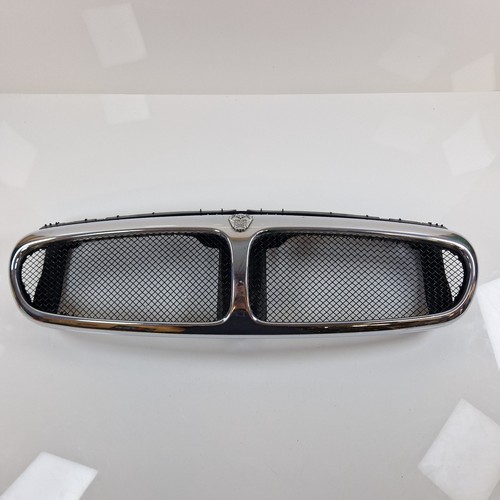 Jaguar type front radiator - jaguar,