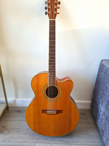 Tanglewood ns - sj-5,
