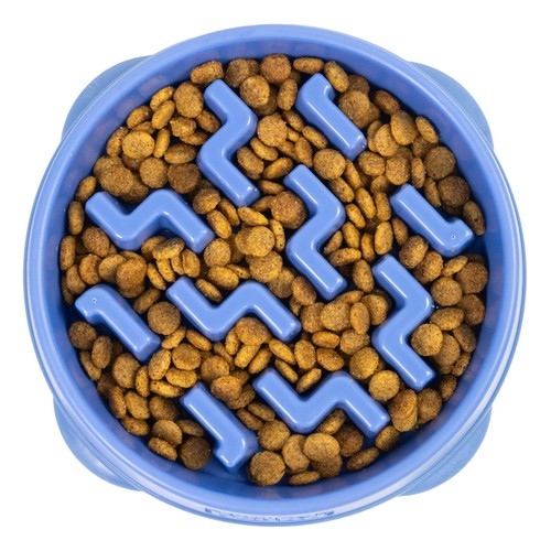 Outward hound slow feeder - slow, dog
