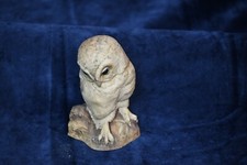 Signed Teviotdale Barn Owl
