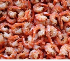 舟山金钩虾米Llarge DRIED