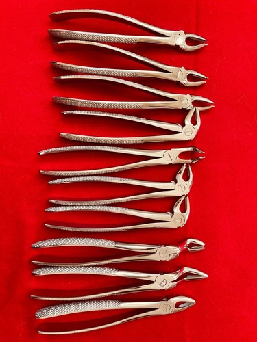 Dental surgical instruments - dental,
