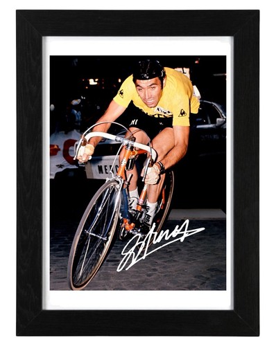 Eddy merckx signed - eddy,