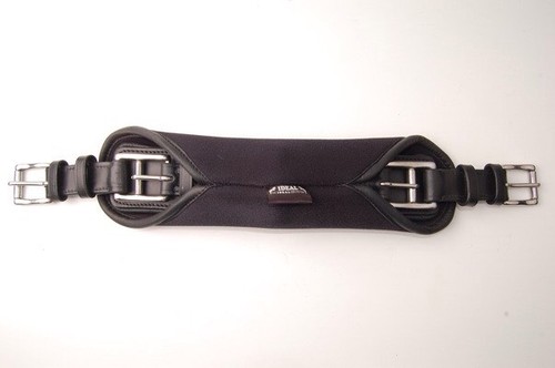 Ideal equestrian horse - equestrian,