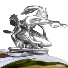 Hood Ornament Cartoon Coyote
