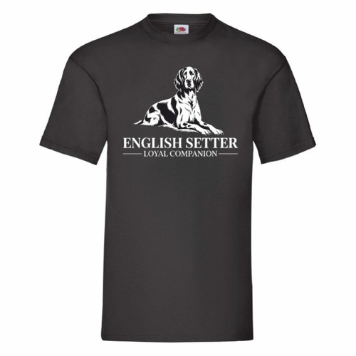 English setter loyal - english,
