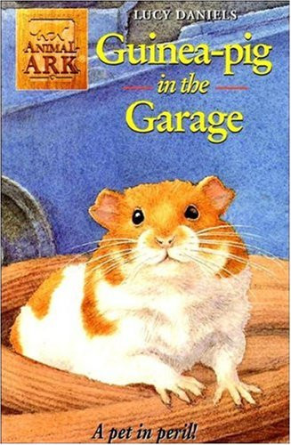 Guinea pig the garage - in,