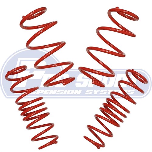 Pro sport lowering springs - pro,