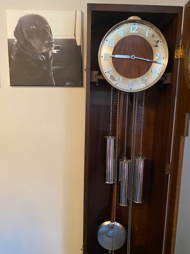 Art deco burr walnut longcase - deco,