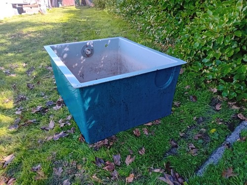 Koi carp tank pumping - carp,