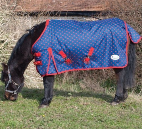 Rhinegold dottie foal small - rhinegold,