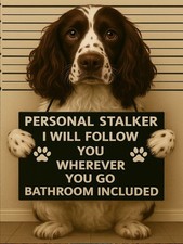 Funny Springer Spaniel  dog metal wall sign bathroom toilet kitchen stalker 