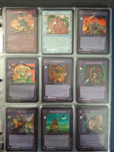 Middle earth the wizards - the,