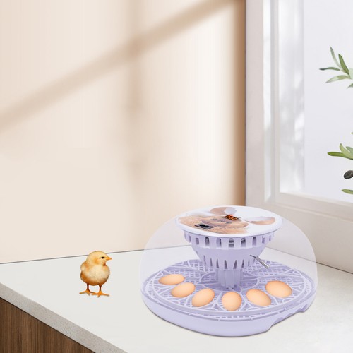 Digital egg incubator - digital,