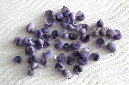 Smallest uncommon purple - 50,